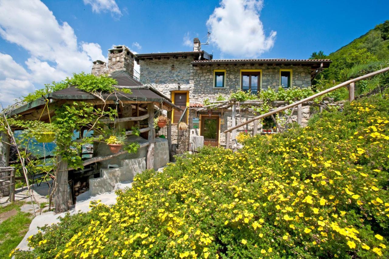 Agriturismo Al Marnich Schignano  Exteriér fotografie